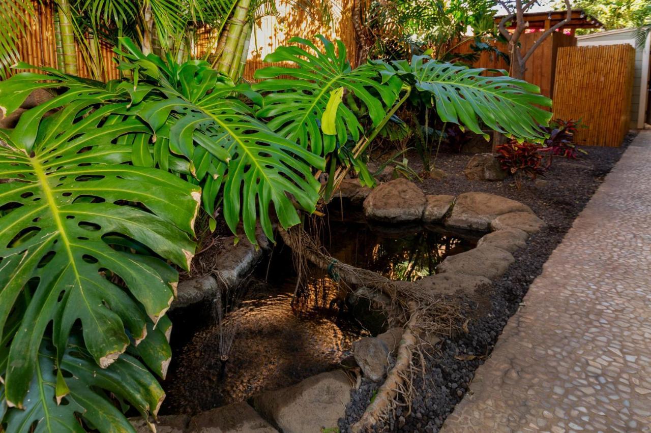 Studio With Mini Kitchen, Pool And Bbq, Pre-Renovation Summer Sale Kihei Exterior photo