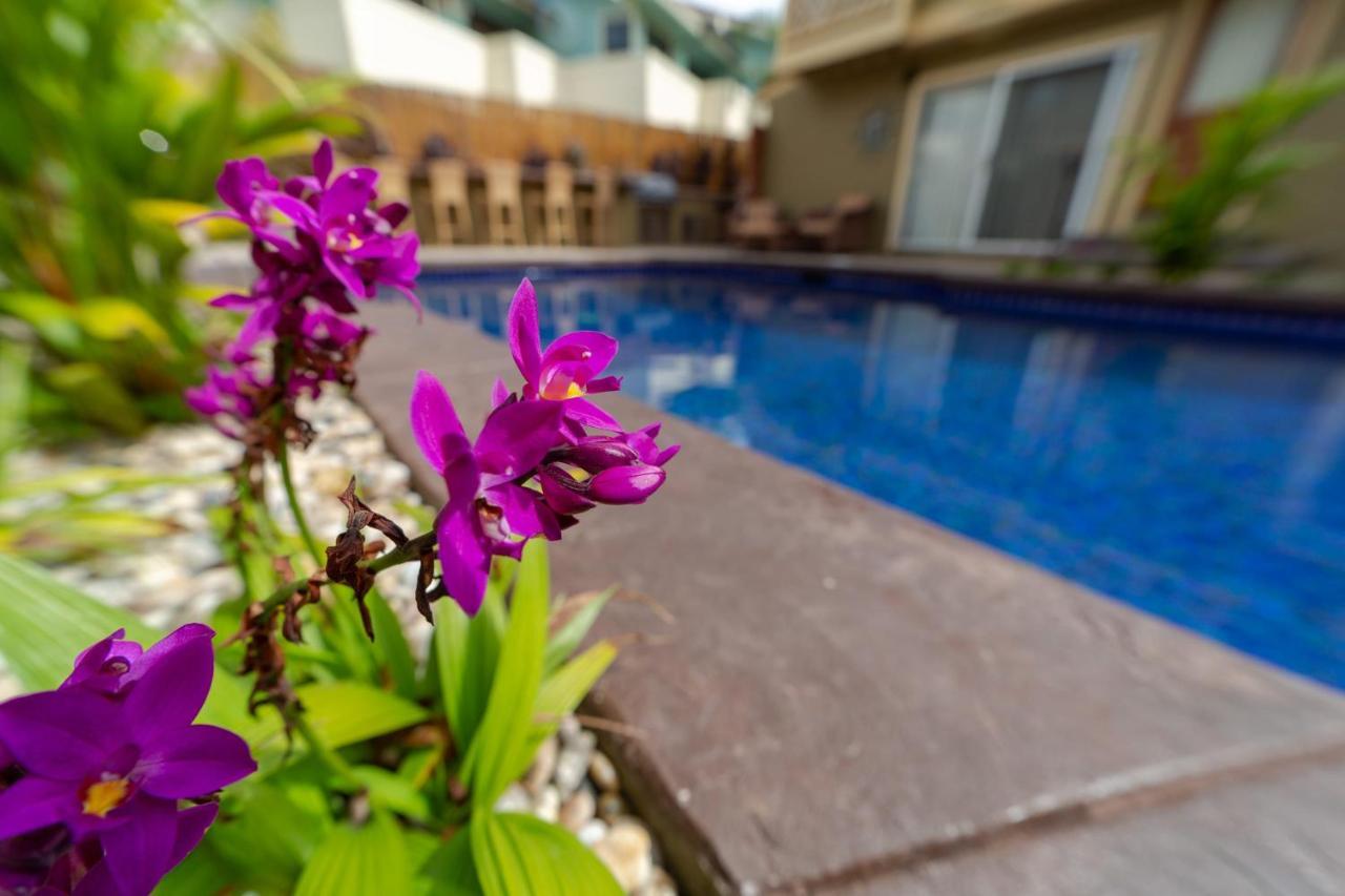 Studio With Mini Kitchen, Pool And Bbq, Pre-Renovation Summer Sale Kihei Exterior photo